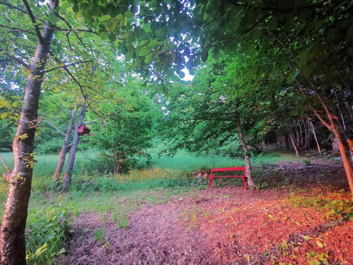 Holiday Home La Sierra Кореница Екстер'єр фото